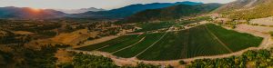 DOMAINE-LAZARIDI-DELTIO-TRYGOU2020