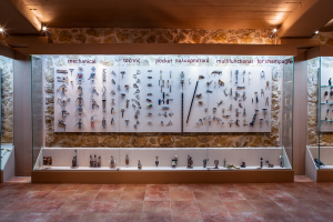 DCL Wine Museum