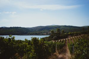 Domaine Costa Lazaridi Τρύγος 2022